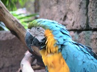 t-PB-Zoo-023.JPG