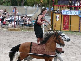 Renn-Fest-60-t.jpg