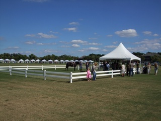 Steeplechase 11-08-012-t.jpg