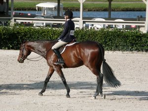 Winter_Equestrian_Festival-08-004-t.jpg