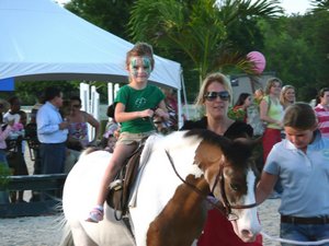 Winter_Equestrian_Festival-08-010-t.jpg