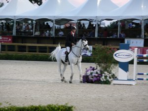 Winter_Equestrian_Festival-08-020-t.jpg