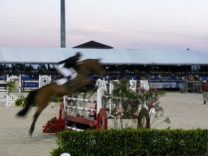 Winter_Equestrian_Festival-08-025-t.jpg