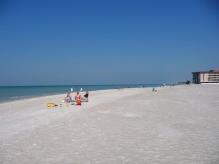 Sarasota 03-09-003-t.jpg